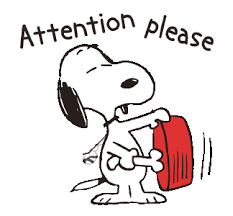snoopy_attn.png